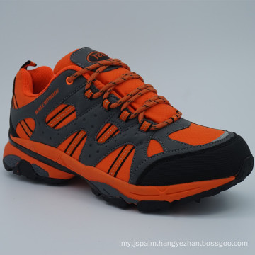 Good Quality Men Outdoor Trekking Shoes Low Hiking Shoes